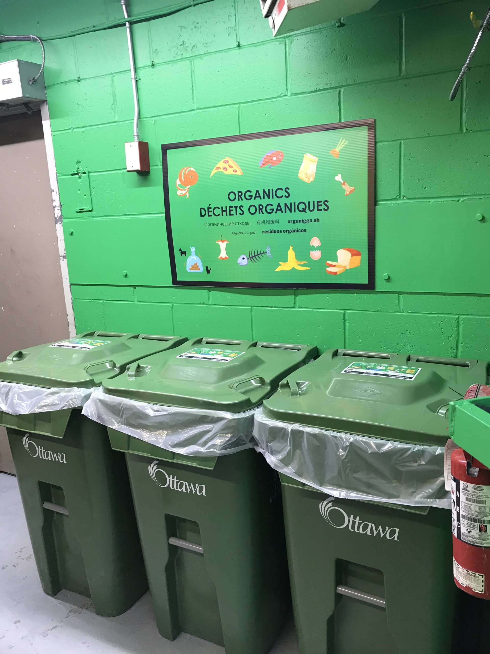 Nepean green bins