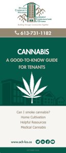 Cannabis brochure