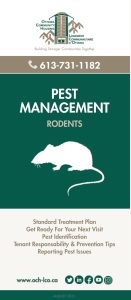 Pest Management - Rodents Brochure