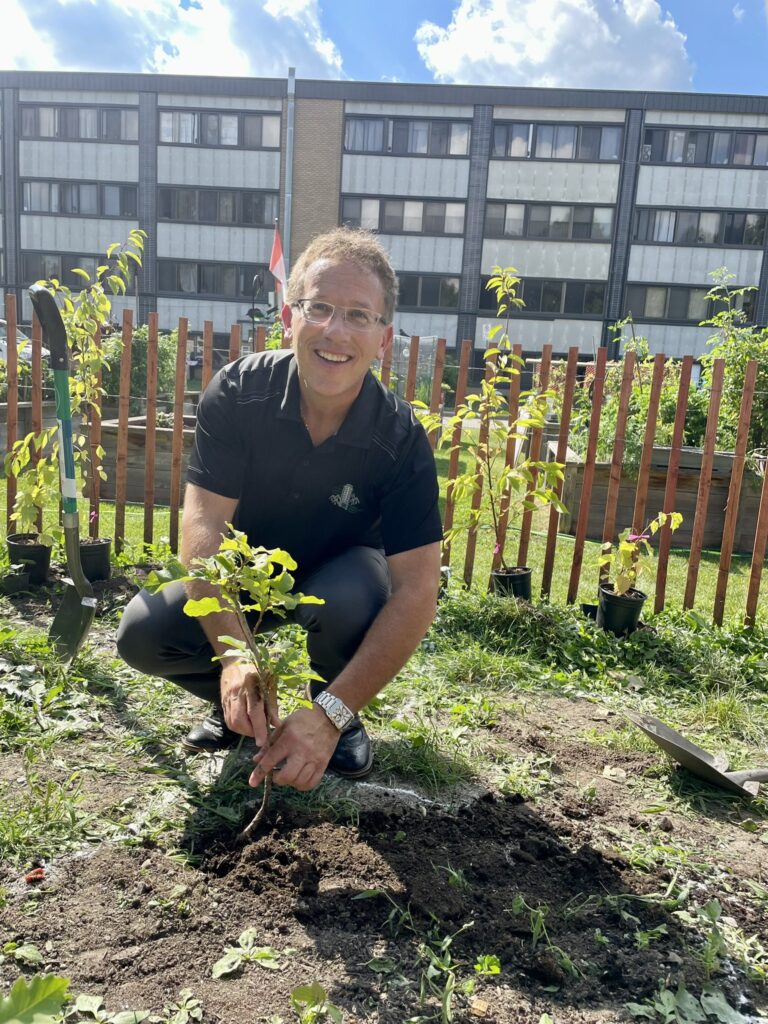 SG tree planting