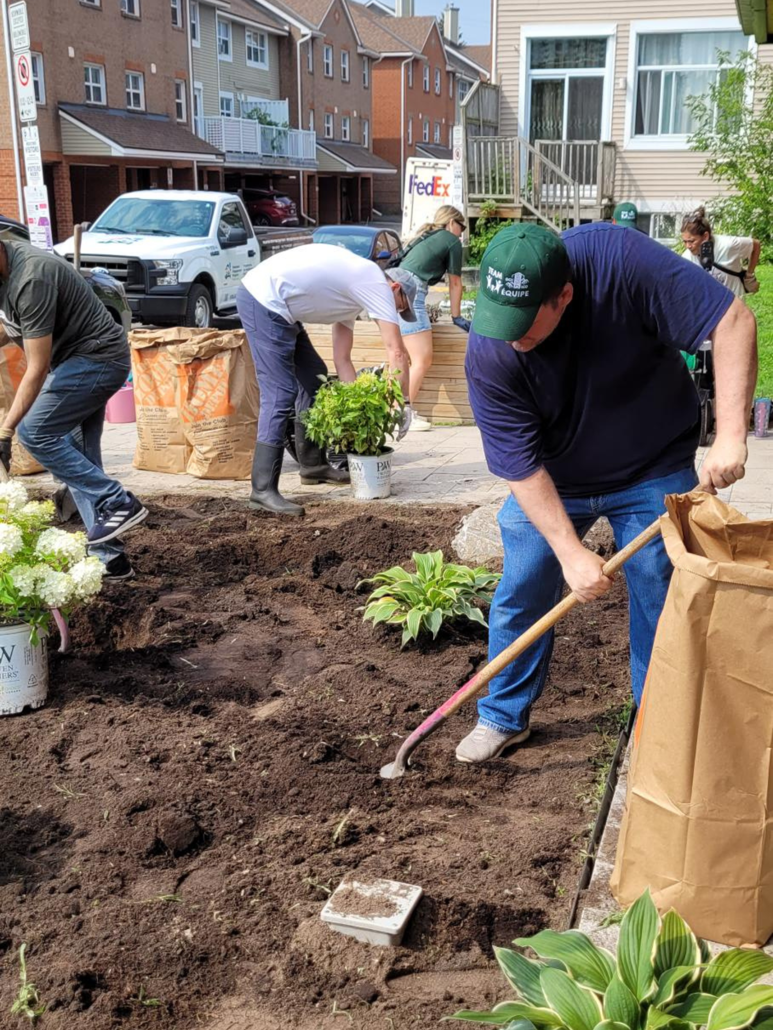 Volunteers planting a community garden, volunteers landscaping