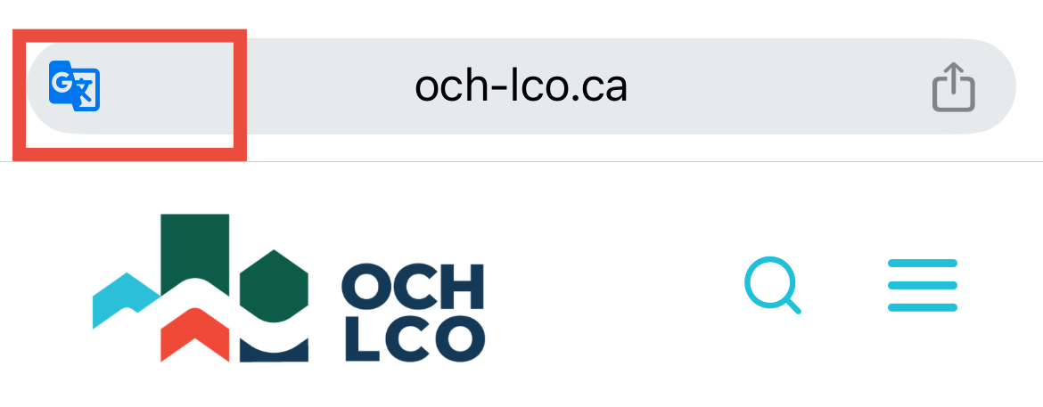 Google Translate Icon Search Bar