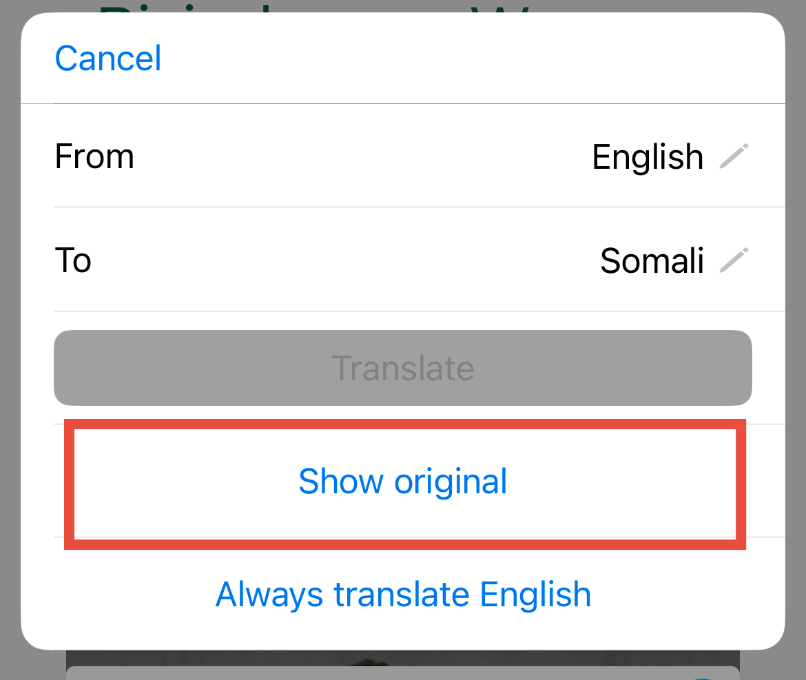 Translation Show Original Google Chrome Translate Mobile
