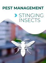 Stinging Insects